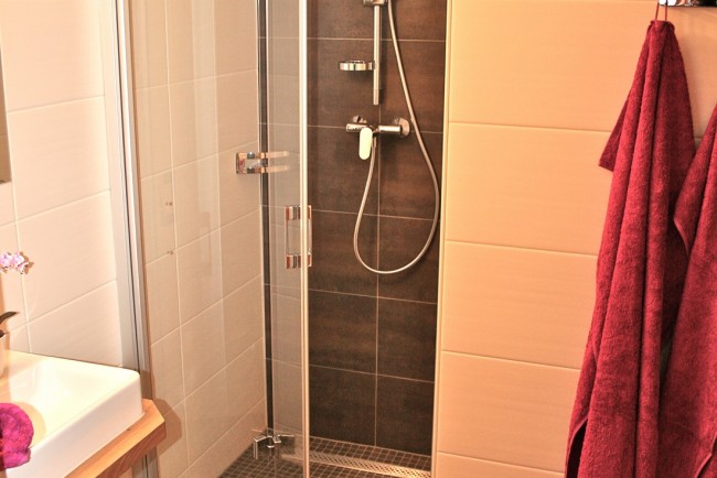 Badezimmer mit Dusche im Appartement Family Room