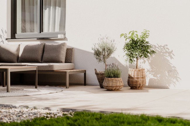 Mediterrane Pflanzen im Garten